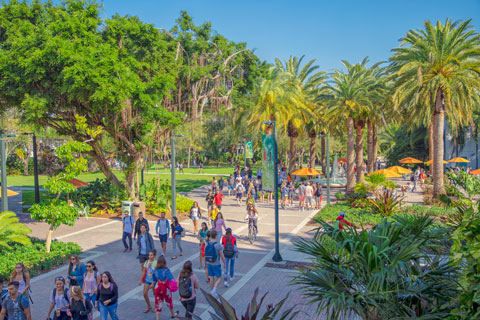University of Miami Coral Gables Campus 