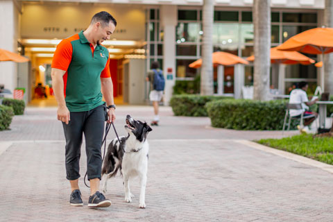  Brian Galea is often on the Coral Gables Campus with his dog Dash. Photos: TJ Lievonen/University of Miami 