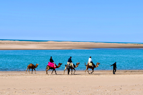 A camel ride in Asilah, Morocco. Photo: Sarah Schuringa