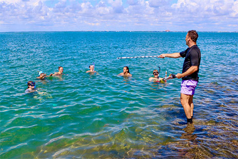  Marine Biology and Ecology associate professor Diego Lirman teaches students in the Saltwater Semester coral cohort how to measure and survey coral varieties along the seawall at Bill Baggs Cape Florida State Park on Key Biscayne. Photo: Diana Udel/University of Miami 