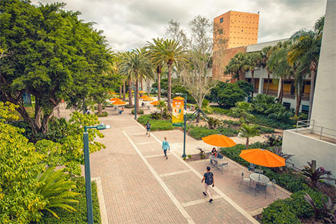  An exterior view of the School of Education and Human Development. Photo: Mike Montero/University of Miami 