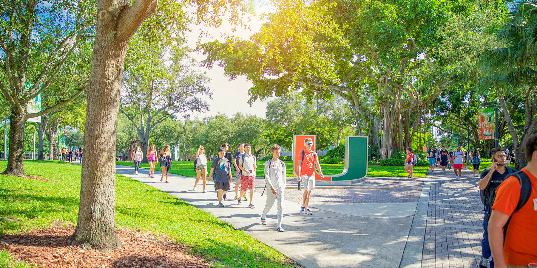 University Of Miami